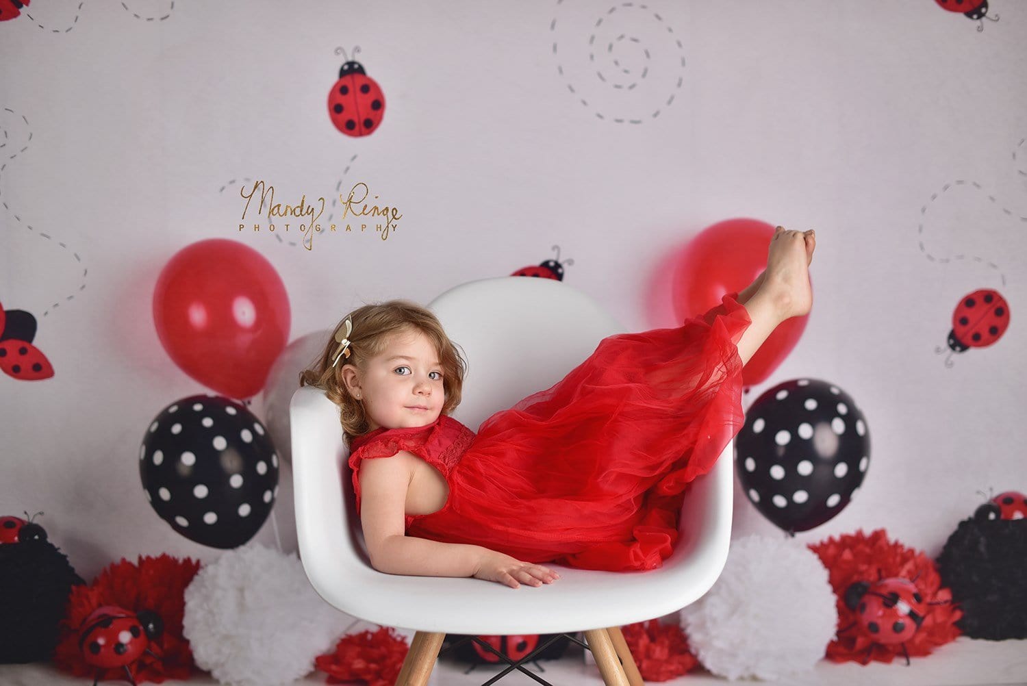 Kate Little Lady Bug Birthday Children Backdrop Designed By Mandy Ringe Photography