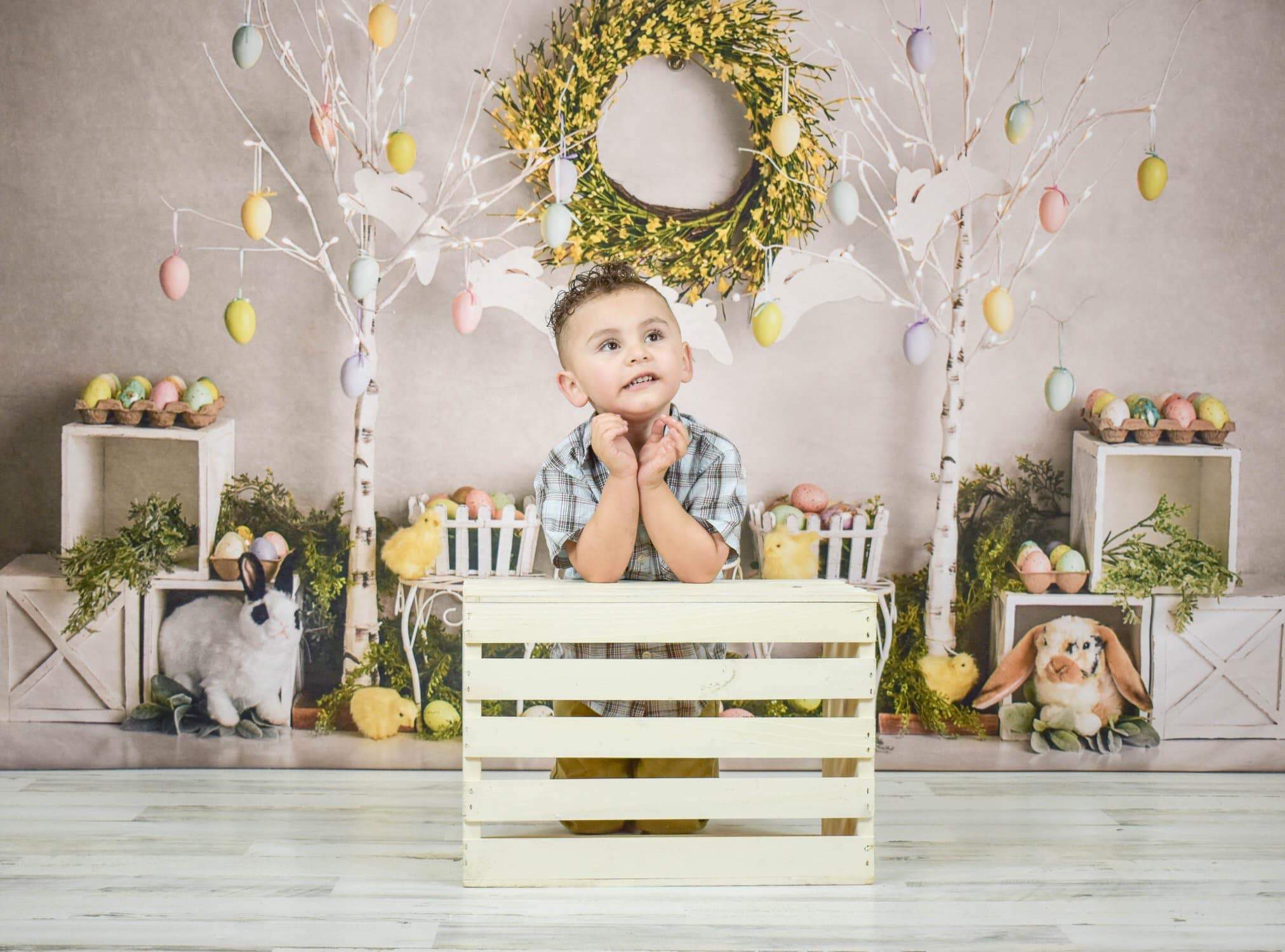 Katebackdrop£ºKate Easter Egg Trees and Bunnies Backdrop Designed By Mandy Ringe Photography