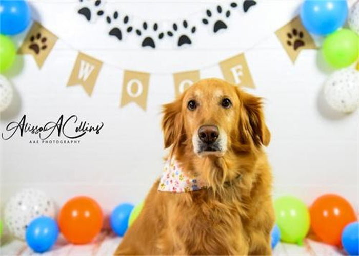 Kate Pet Neutral Dog Balloons Decorations Backdrop Designed by AAE Photography - Kate Backdrop