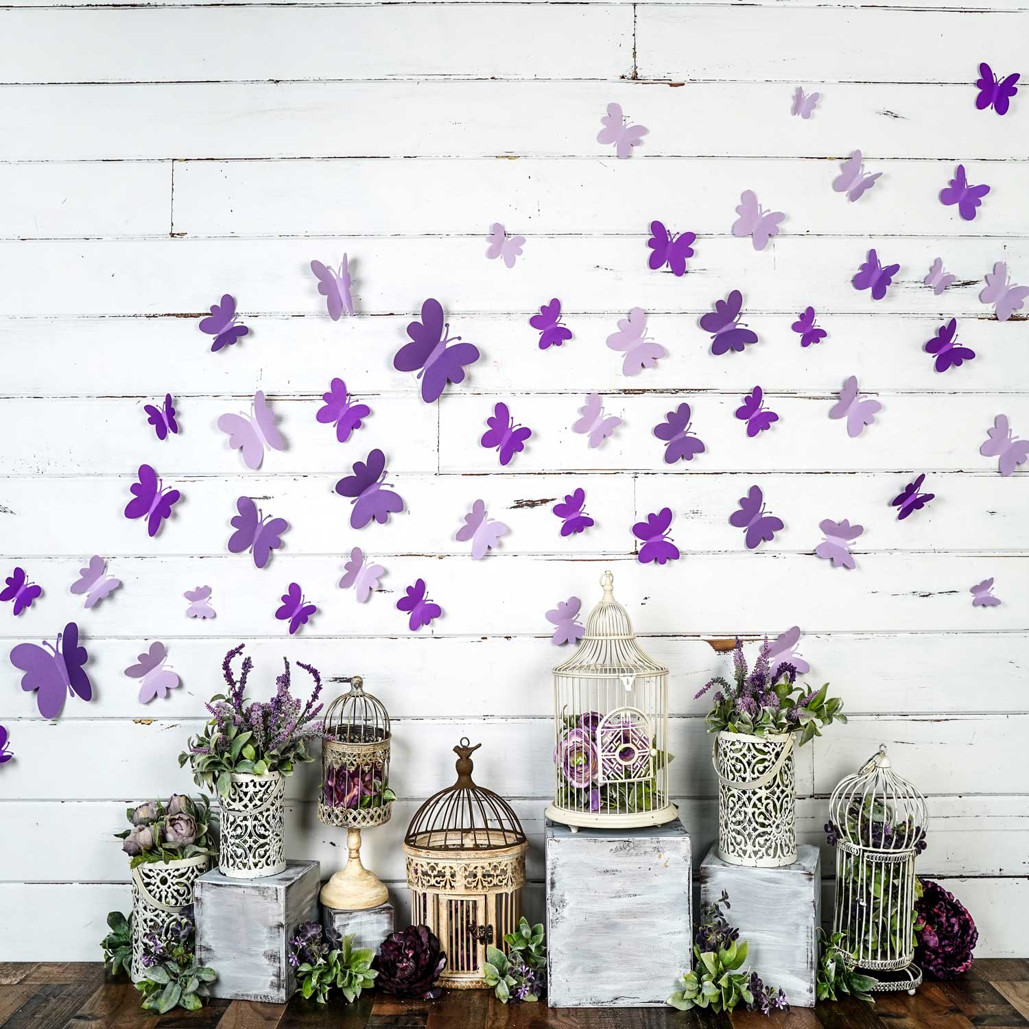 Kate Spring Purple Butterfly Plants White Wall Backdrop Designed By Arica Kirby