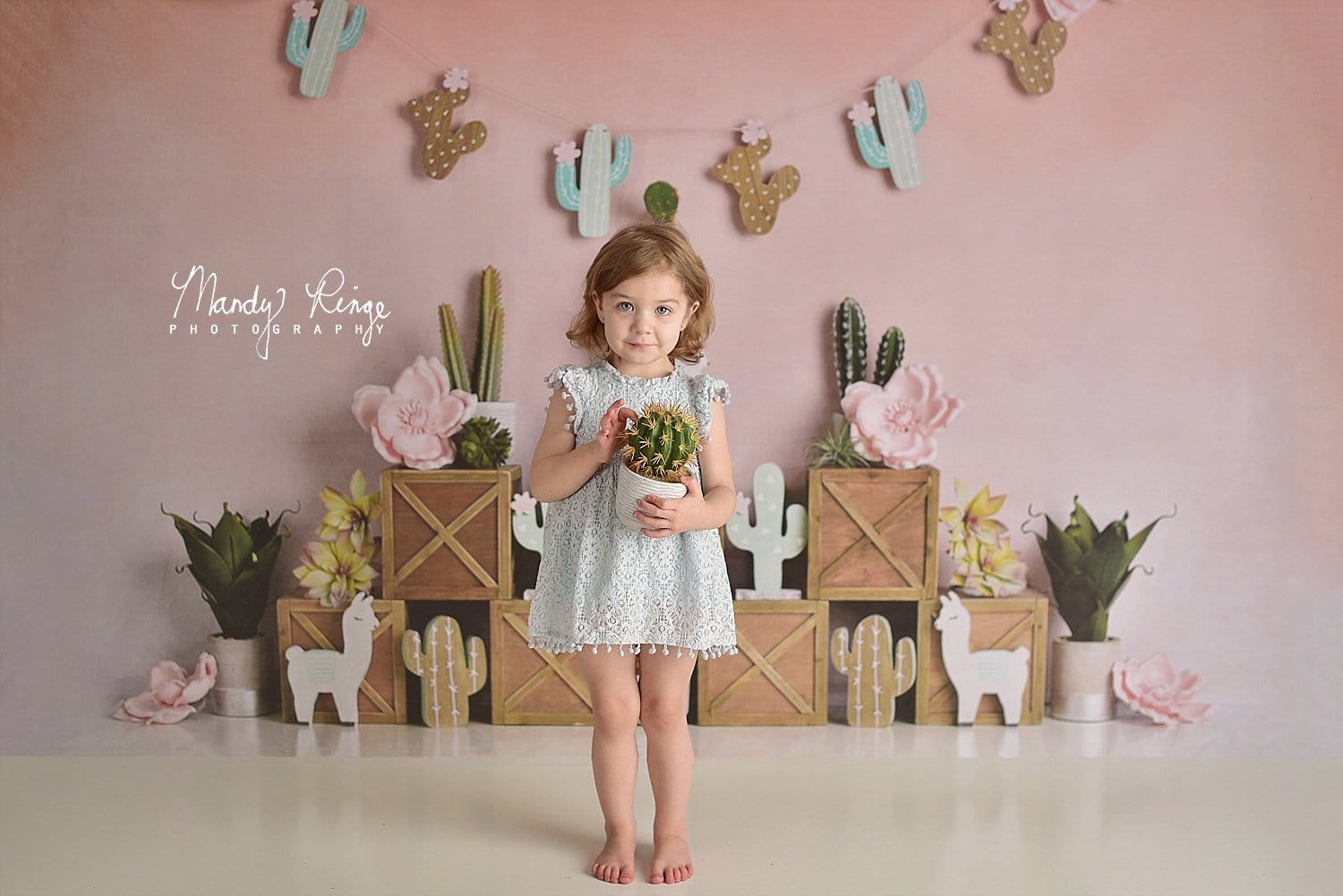 Kate Spring Pastel Llamas with Cactus Pink Backdrop for Children Designed By Mandy Ringe Photography