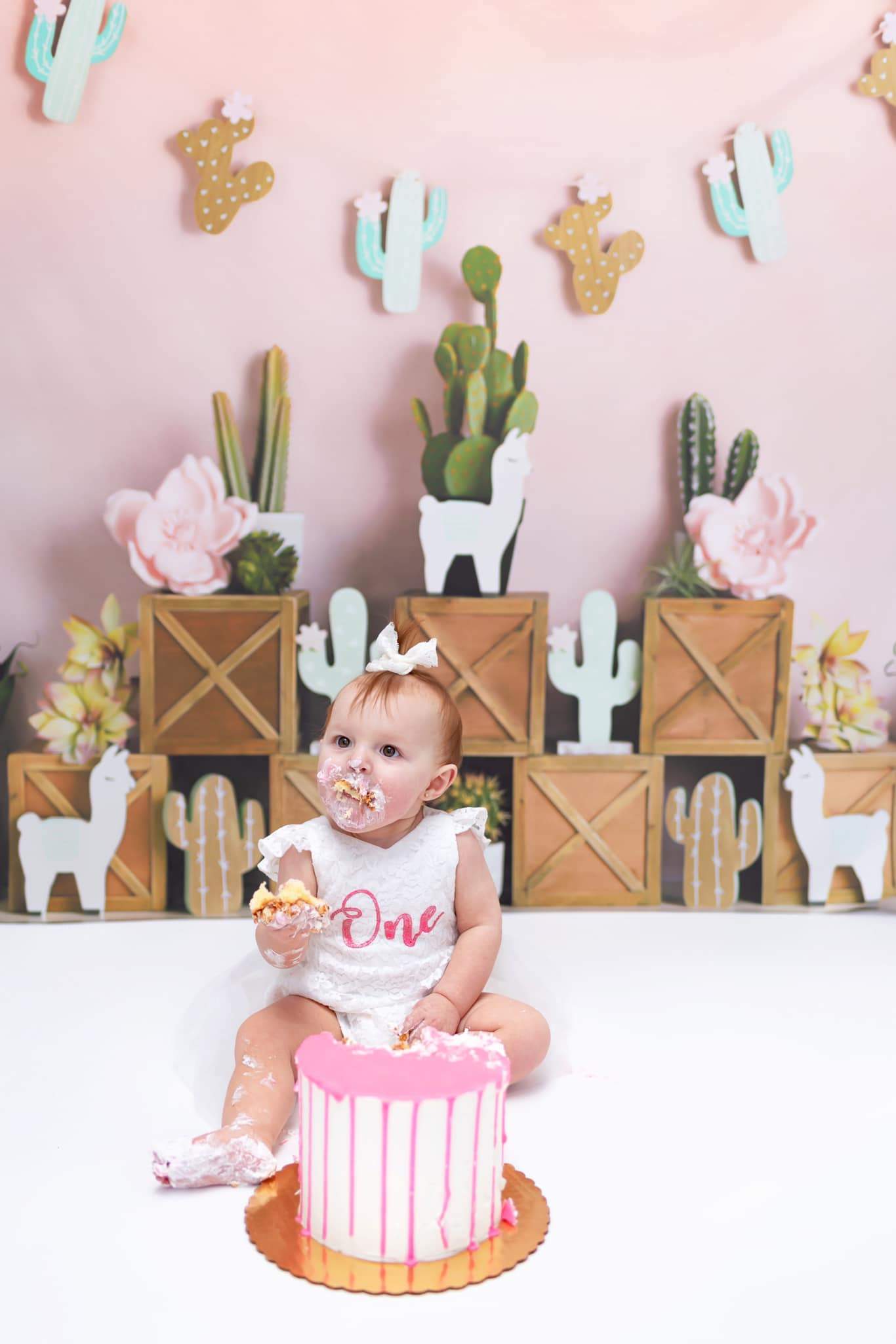 Kate Spring Pastel Llamas with Cactus Pink Backdrop for Children Designed By Mandy Ringe Photography
