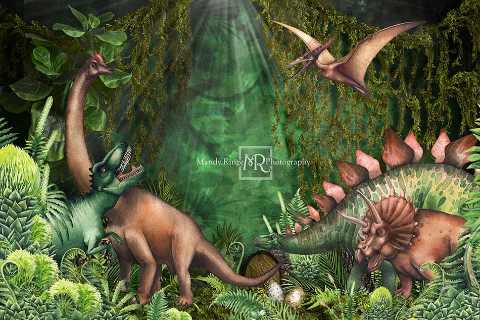 Kate Summer Jungle Adventure Dinosaurs Backdrop Designed by Mandy Ringe Photography