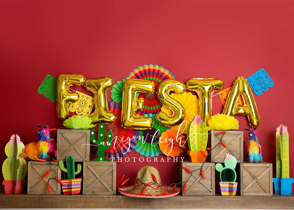 Kate Fiesta Time Cake Smash Summer Backdrop Designed by Megan Leigh Photography