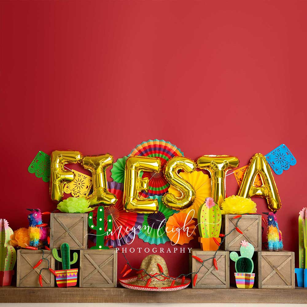 Kate Fiesta Time Cake Smash Summer Backdrop Designed by Megan Leigh Photography
