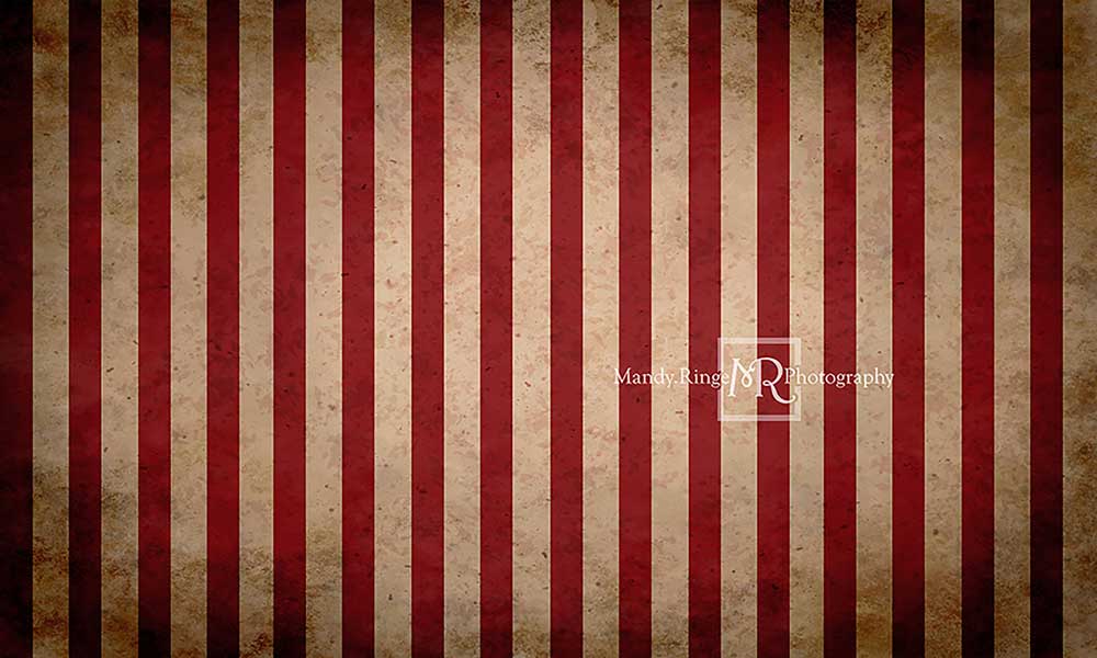 Kate Vintage Circus Stripes Backdrop Designed by Mandy Ringe Photography