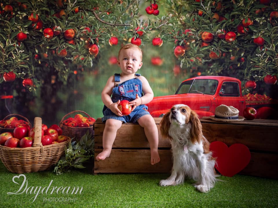 Kate Apple Orchard Red Truck Backdrop Designed by Rosabell Photography - Kate Backdrop