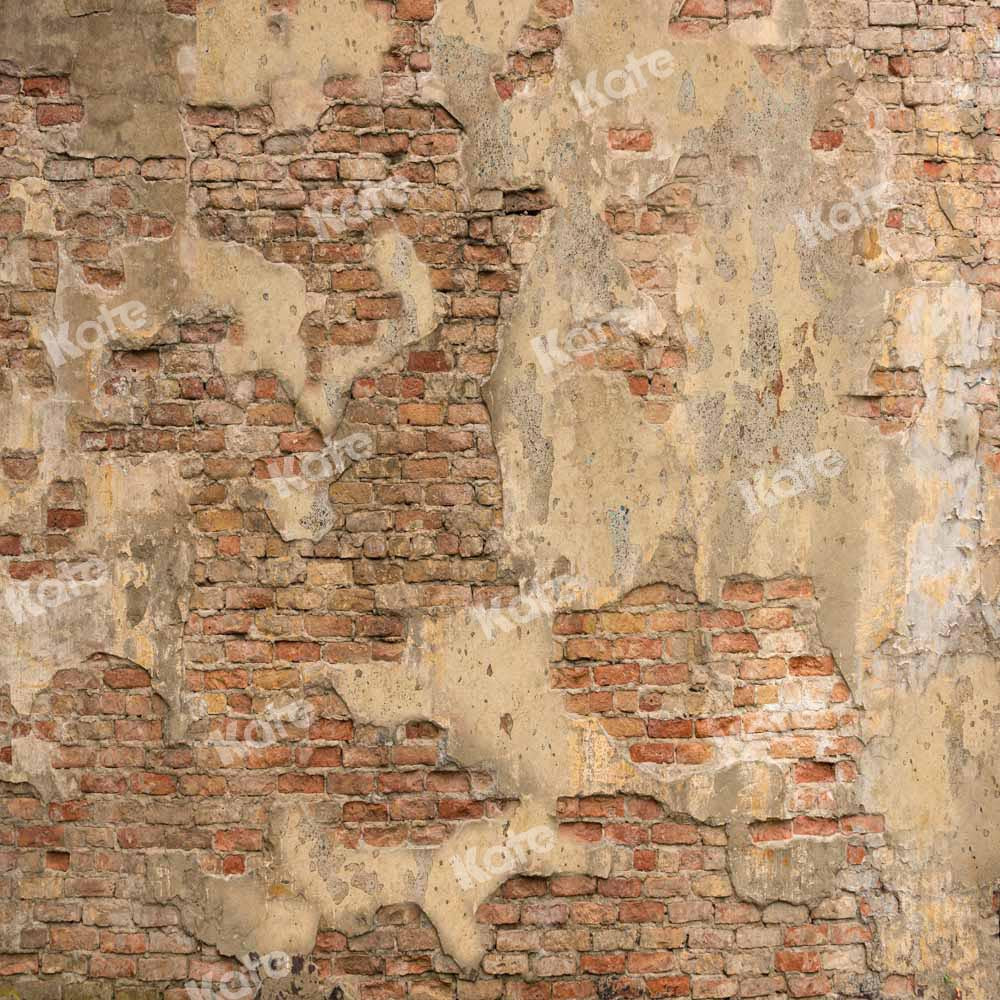 Kate Brick Wall Vintage Backdrop Shabby Texture Designed by Chain Photography