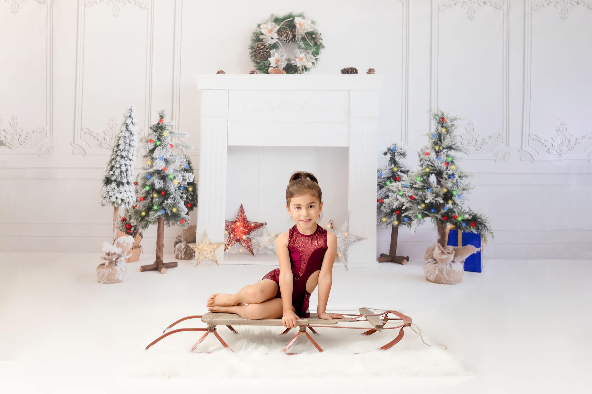 Kate Christmas Closet Winter Backdrop for Photography