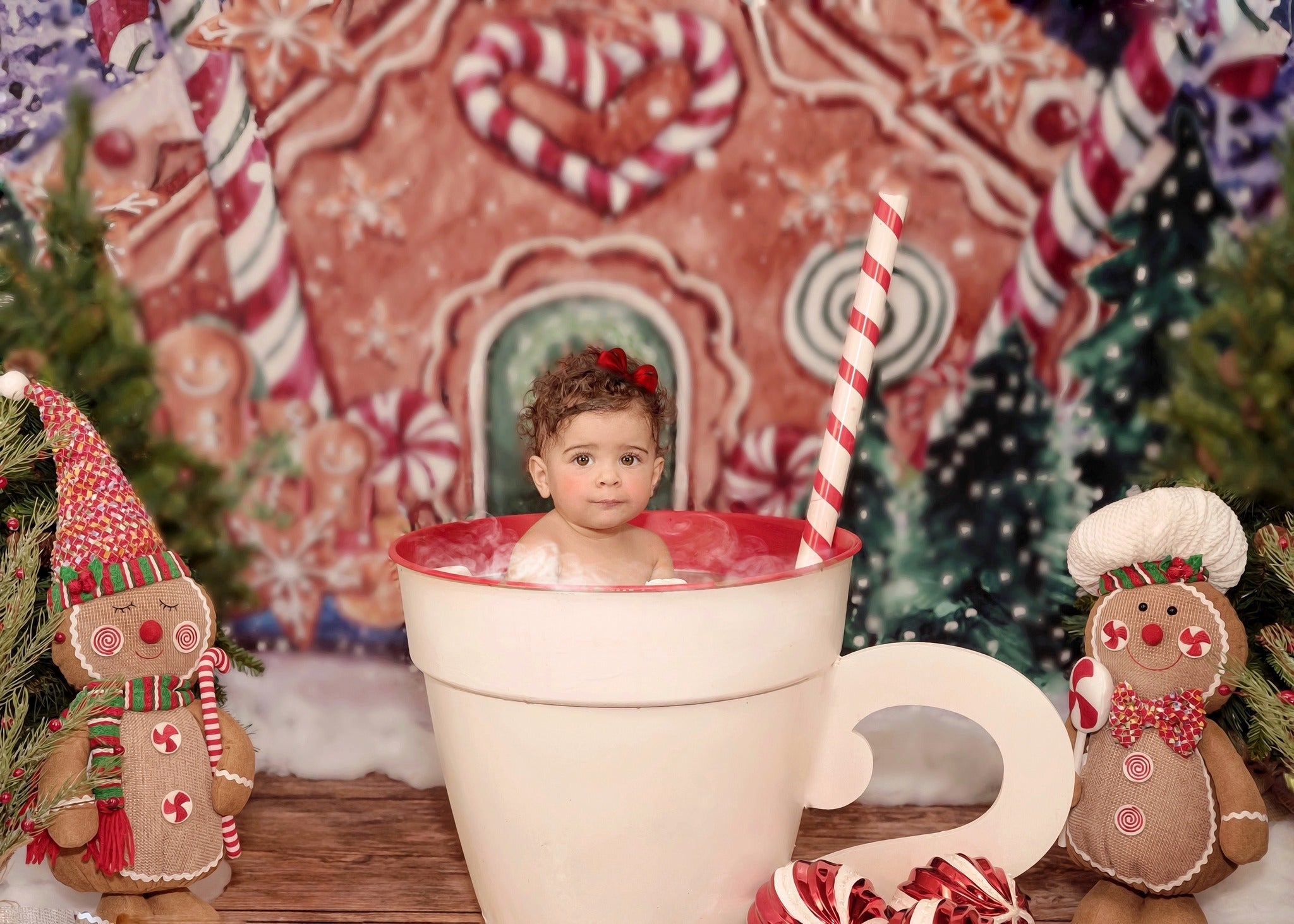 RTS Kate Christmas Hot Cocoa Backdrop Outside Gingerbread House Designed by GQ