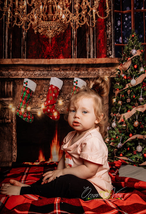 Kate Christmas Winter Snow Fireplace Backdrop for Photography