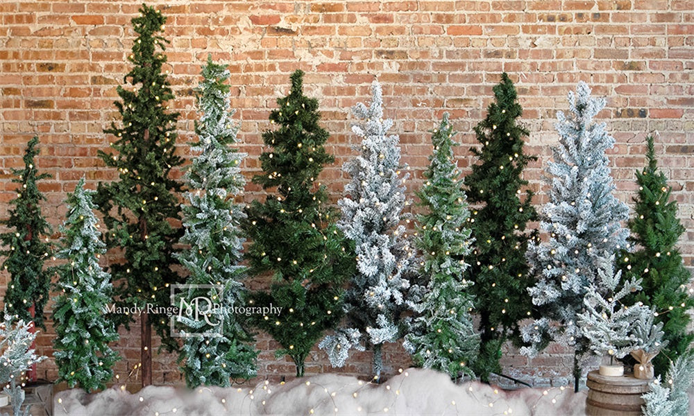 Kate Christmas Trees Backdrop Brick Designed by Mandy Ringe Photography