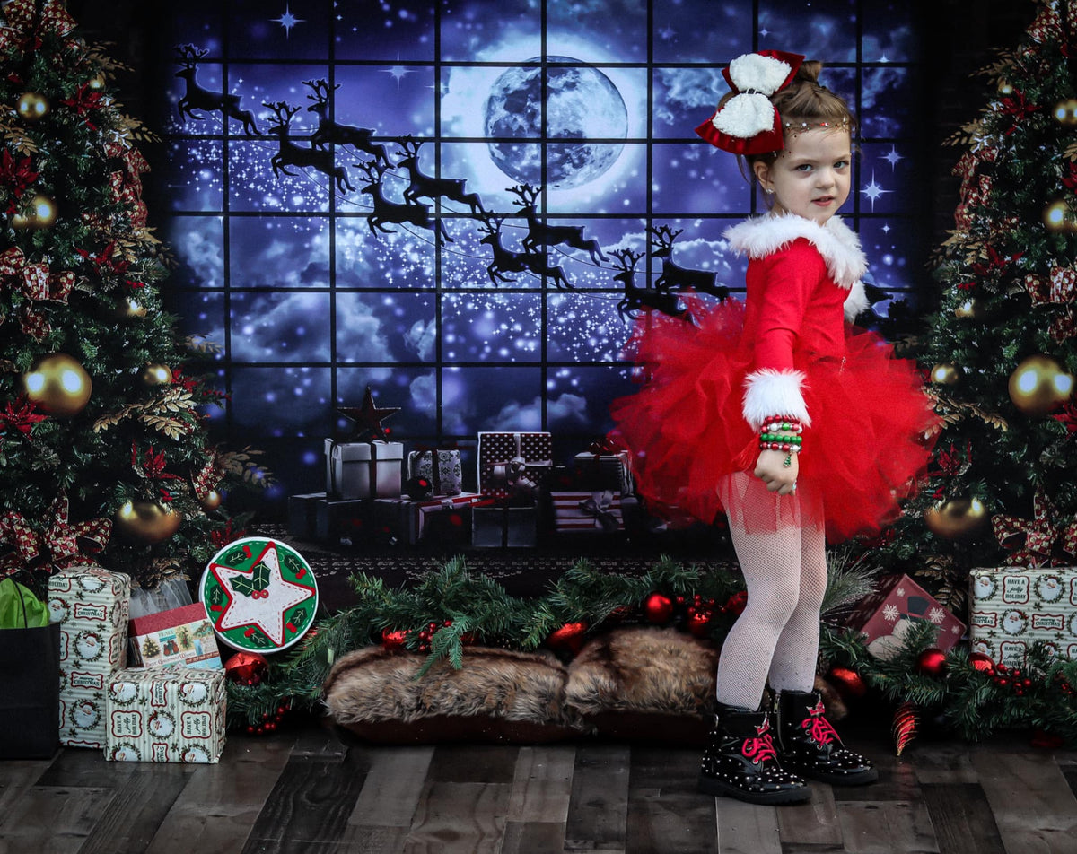 Magical Night Christmas Window Backdrop