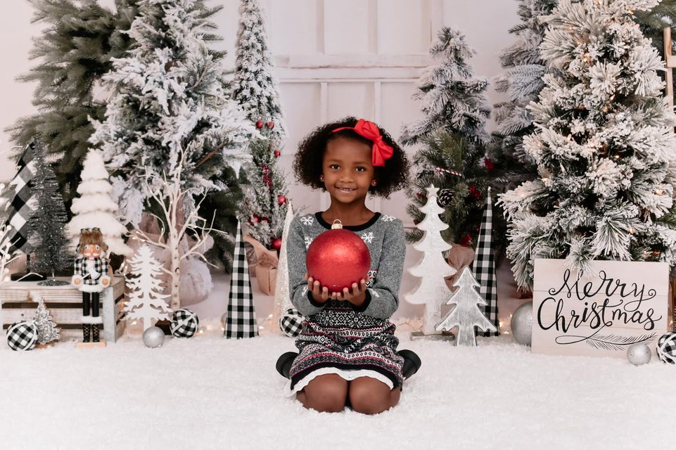 Kate Christmas Winter Backdrop Trees White for Photography