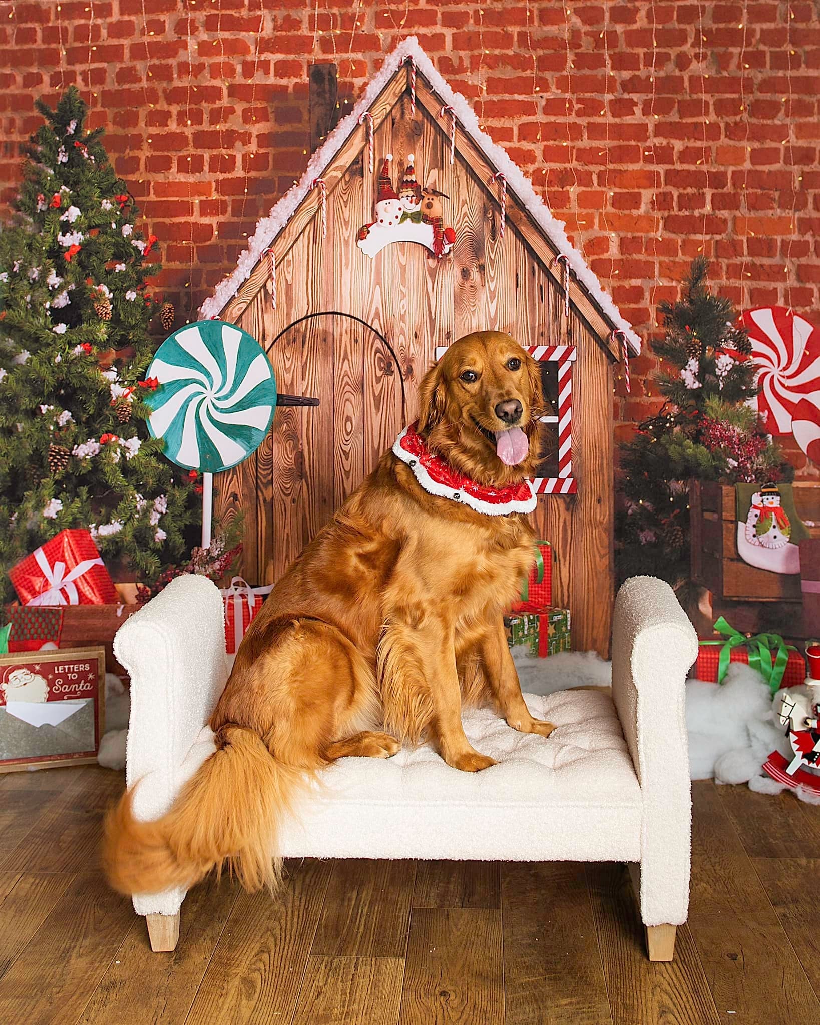 RTS Kate Christmas Wooden House Hot cocoa Backdrop for Photography