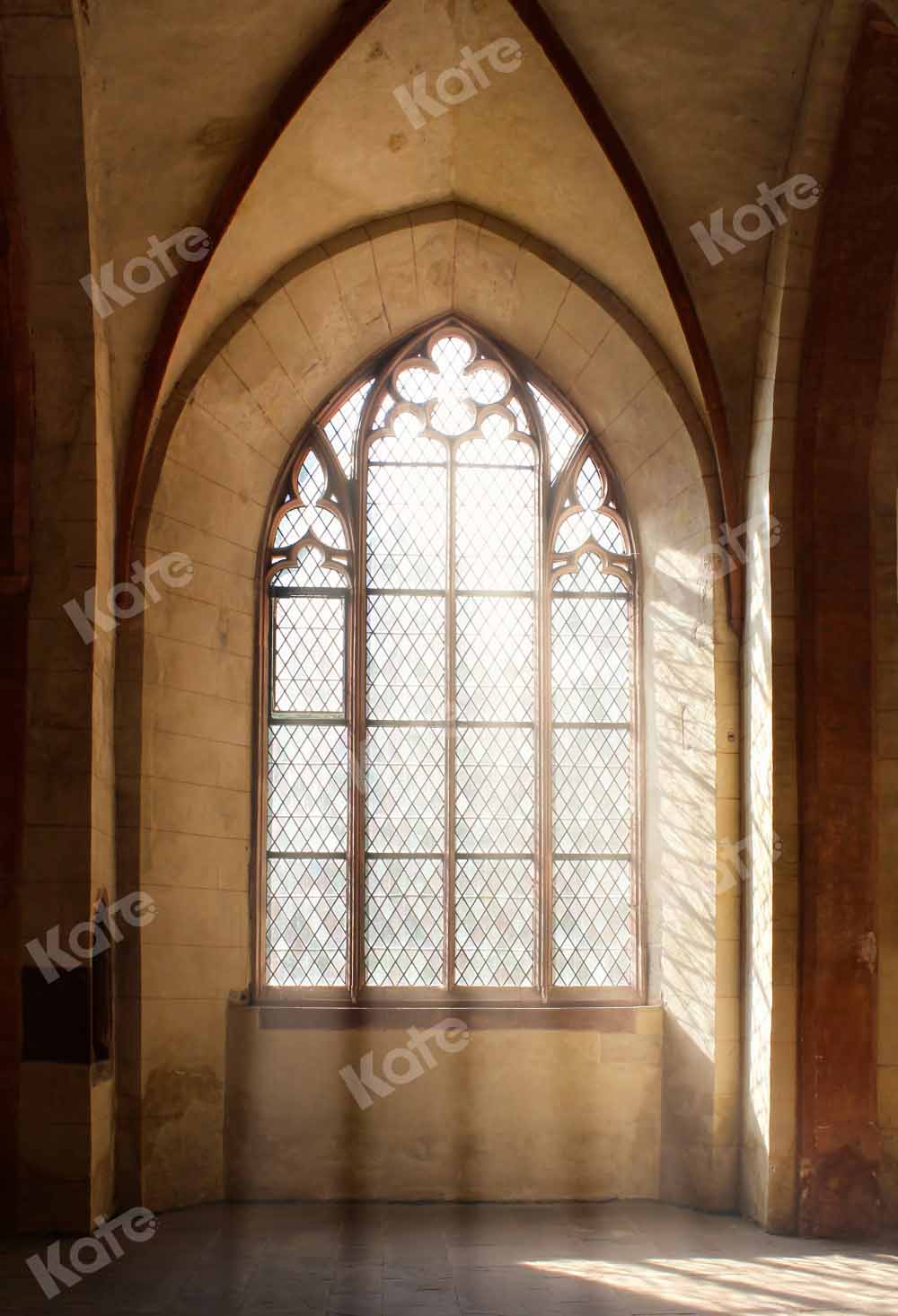 Kate Church Sunlight Backdrop Window Designed by Chain Photography