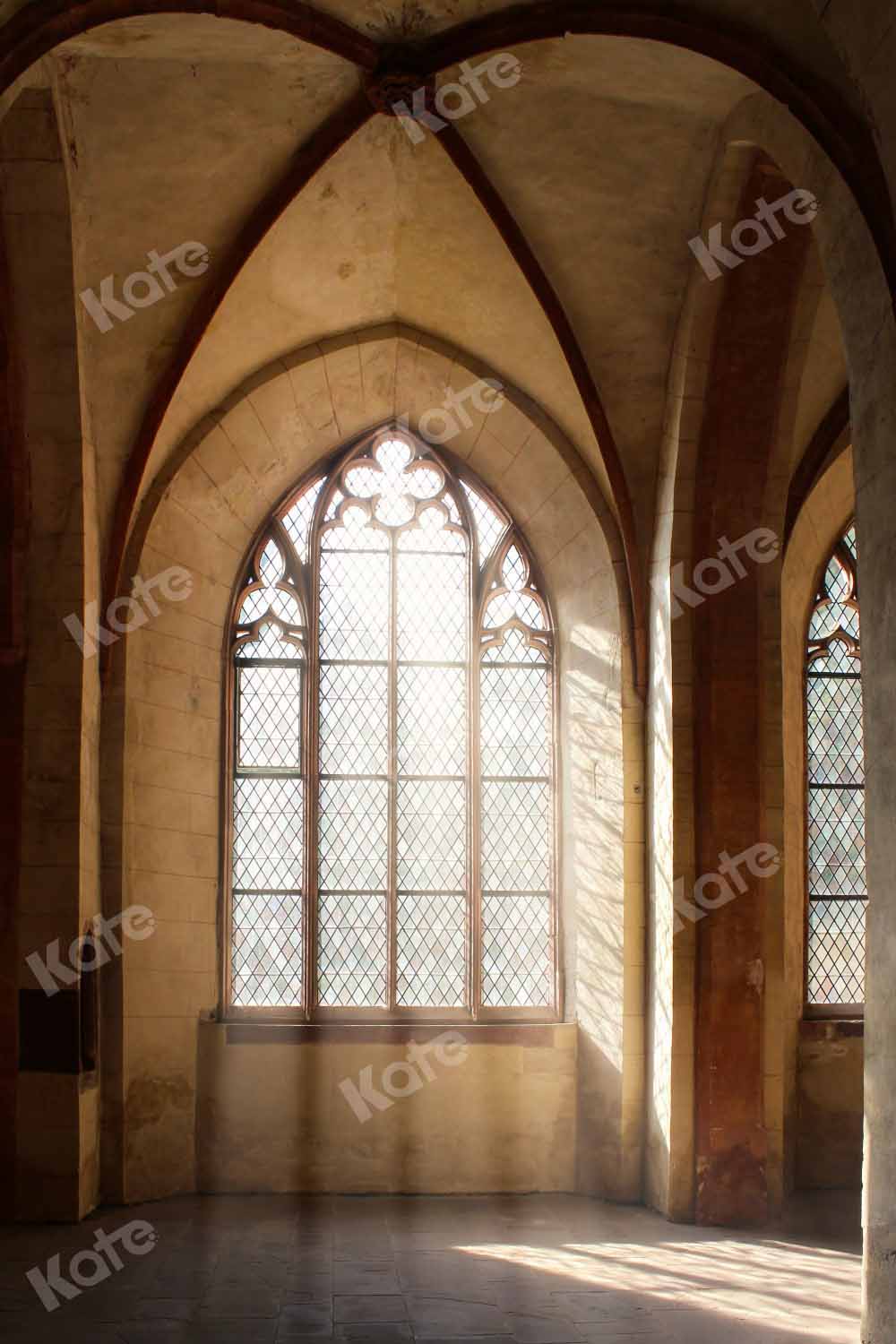 Kate Church Sunlight Backdrop Window Designed by Chain Photography