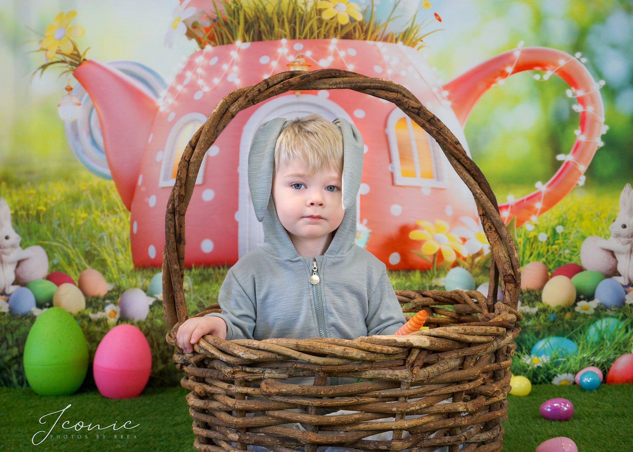 Kate Easter Spring Backdrop Egg for Photography