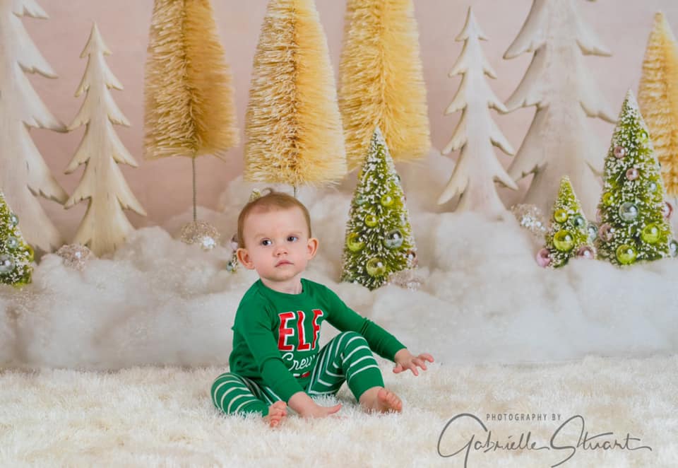 Kate Elegant Christmas Trees with Glitter Backdrop for Photography Designed By Mandy Ringe Photography