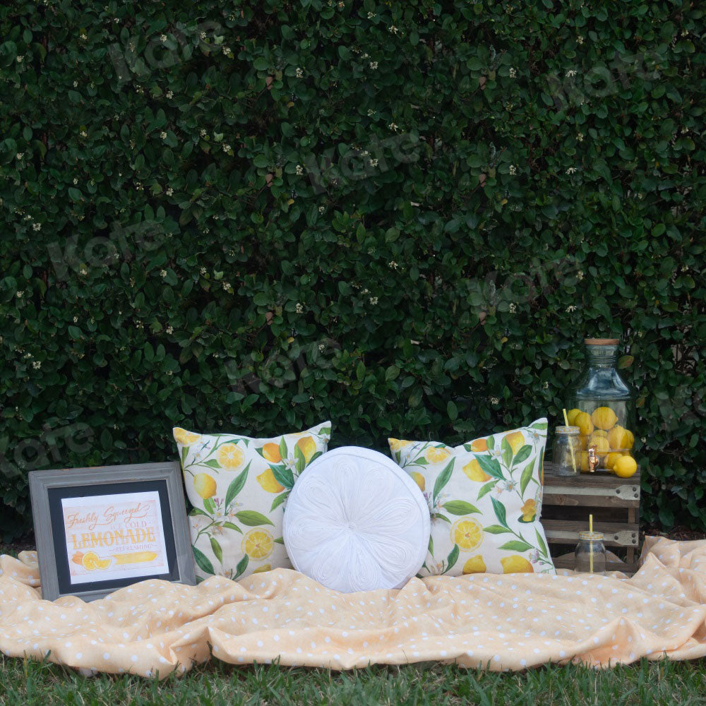 Kate Holiday Picnic Pillows Spring Backdrop for Photography Designed by Tyna Renner
