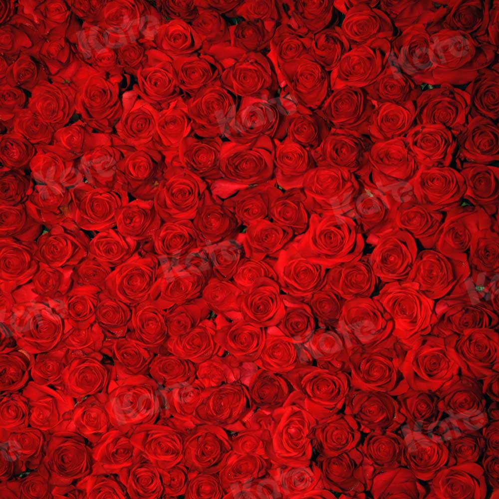 Kate Red Roses Valentine's Day Florals Photography Backdrop - Katebackdrop