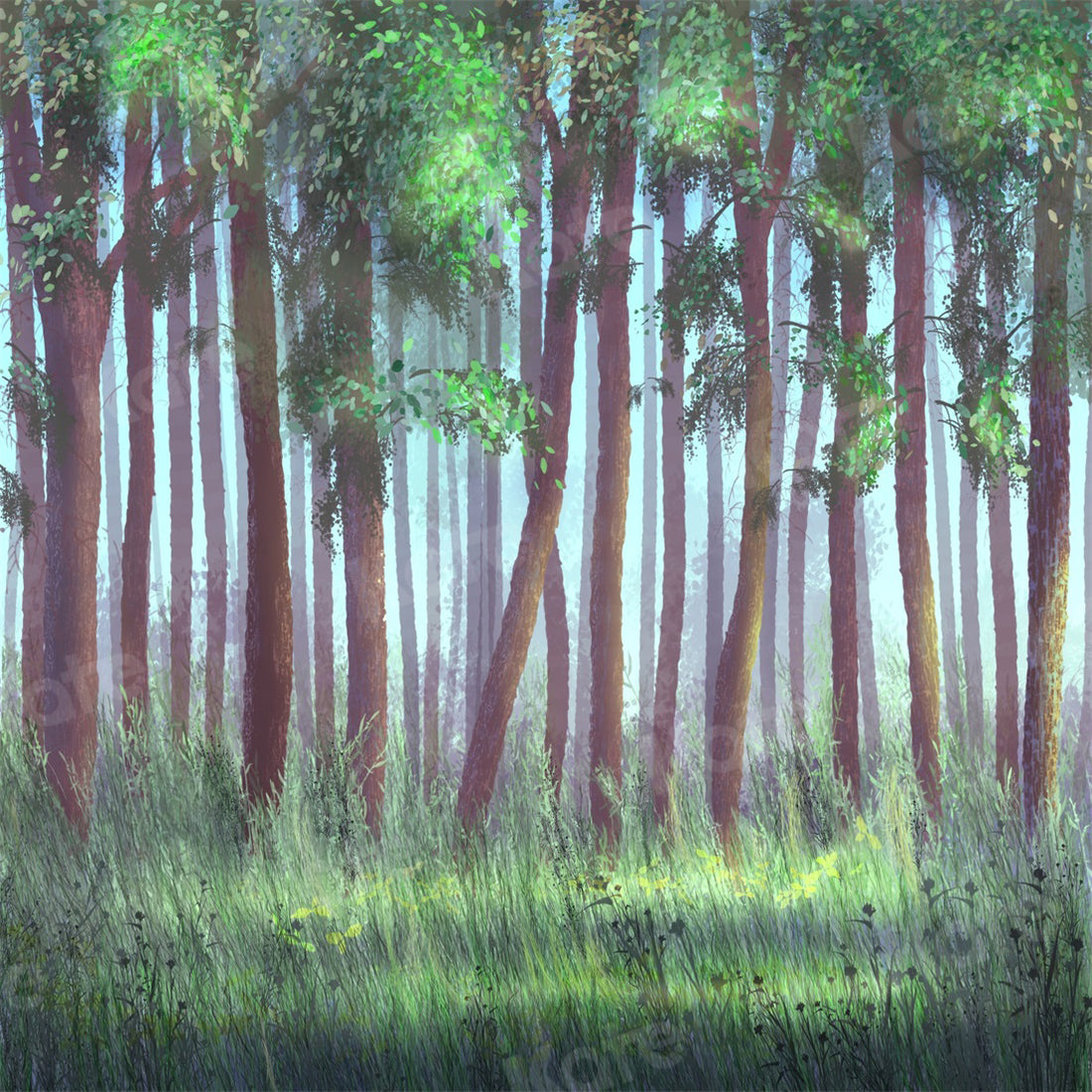 Enchanted Morning Forest Woodland Backdrop