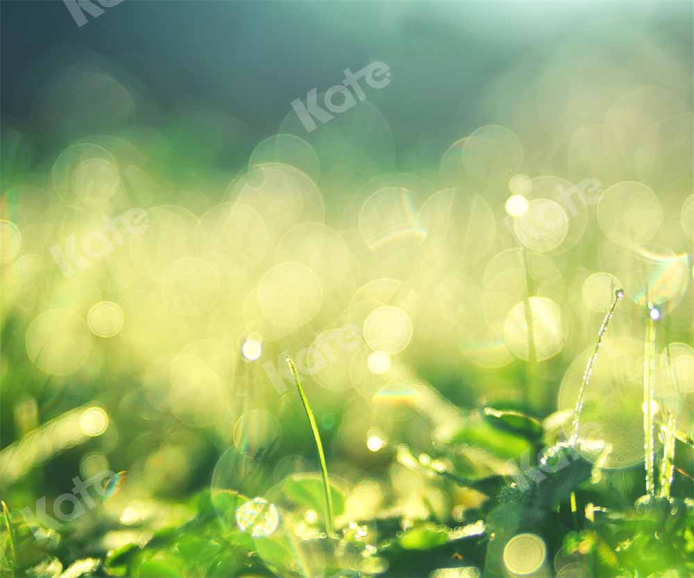 Kate Spring Morning Backdrop Dew Bokeh Designed by Chain Photography