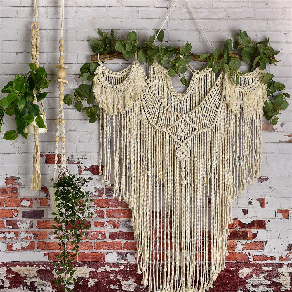 Kate Spring/mother's Day Boho Macrame Wall with Plants Backdrop Designed By Mandy Ringe Photography