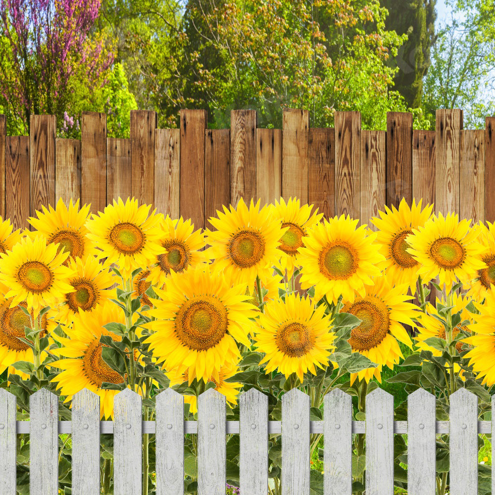 Kate Summer Sunflower Backdrop Fence for Photography