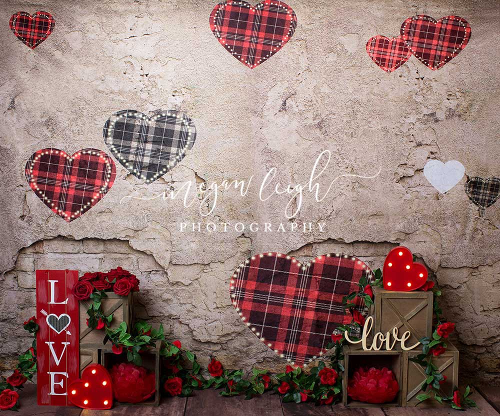 Kate Valentine's Day Brick Wall Backdrop Designed by Megan Leigh Photography - Kate Backdrop