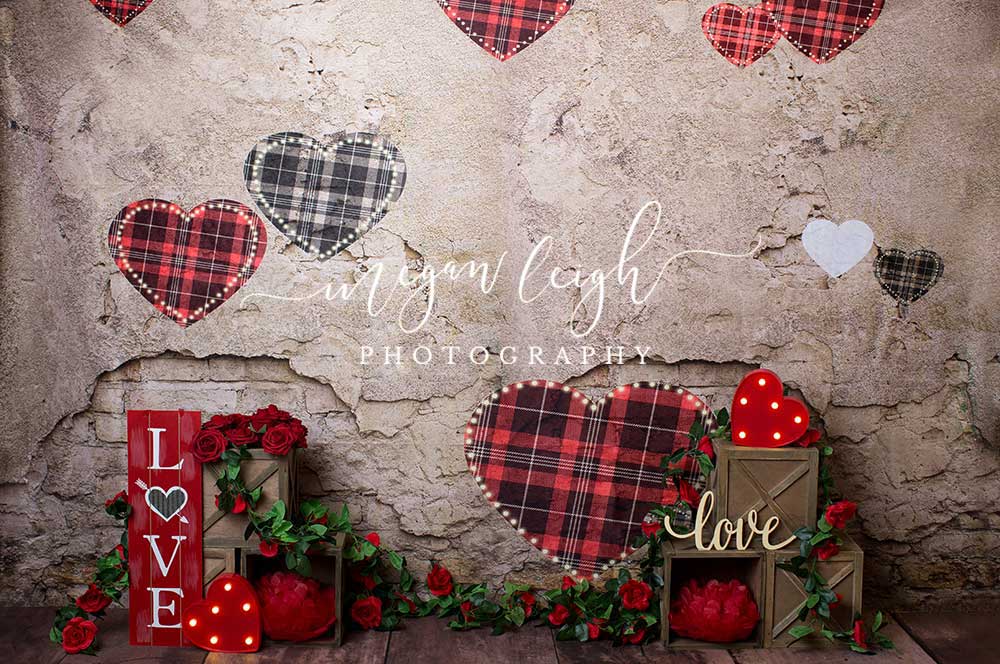 Kate Valentine's Day Brick Wall Backdrop Designed by Megan Leigh Photography - Kate Backdrop