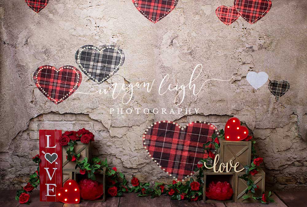 Kate Valentine's Day Brick Wall Backdrop Designed by Megan Leigh Photography - Kate Backdrop
