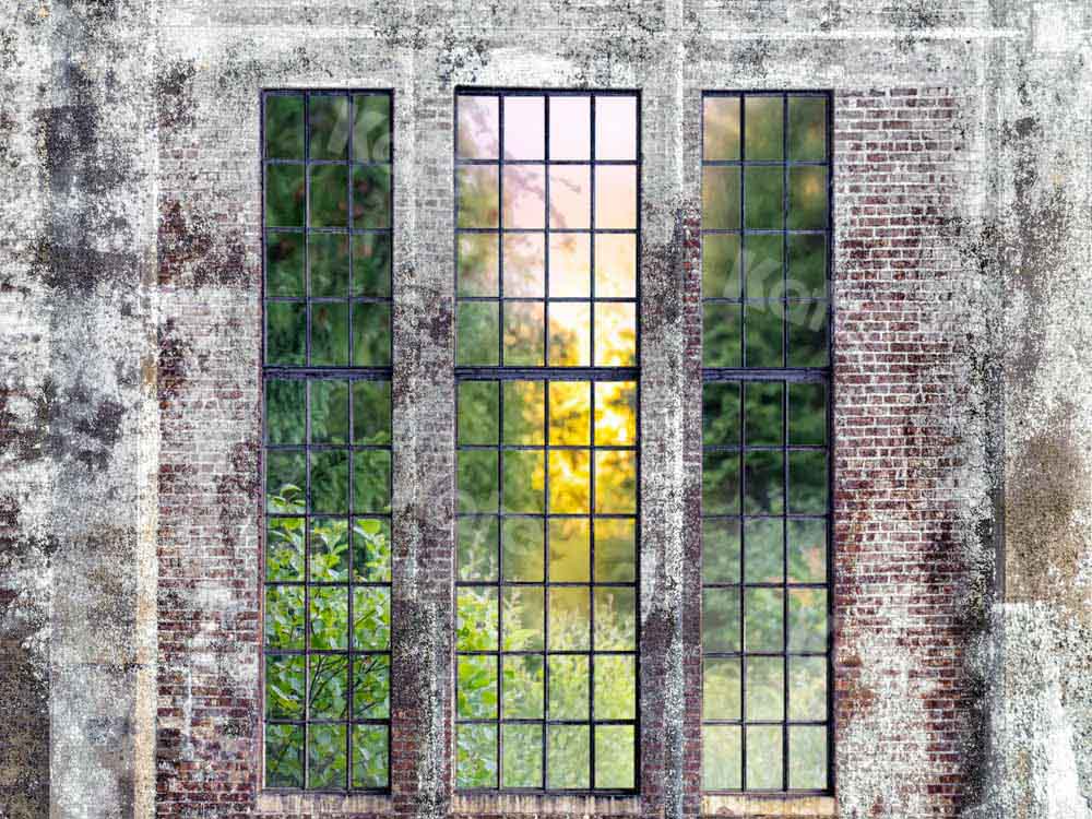 Kate Vintage Wall Spring Backdrop Outside Window Designed by Chain Photography