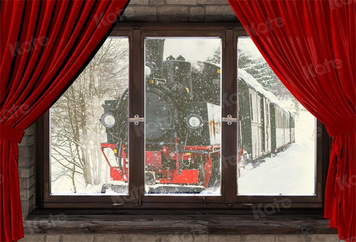 Kate Winter Snow Backdrop Train Outside Window for Photography