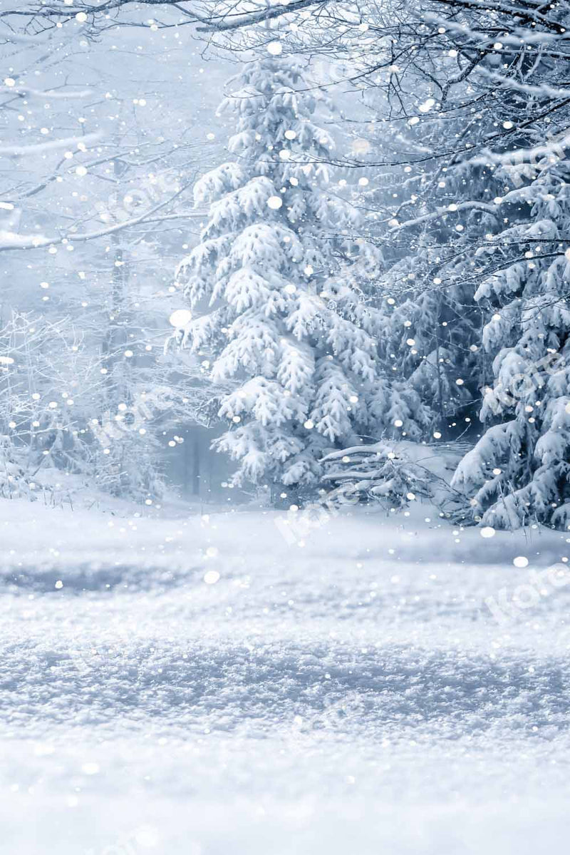 Serene Winter Snowy Forest Backdrop