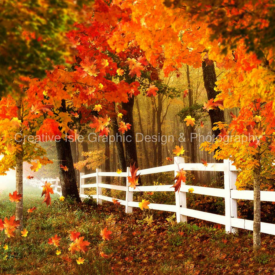 Vibrant Autumn Forest Fence Backdrop