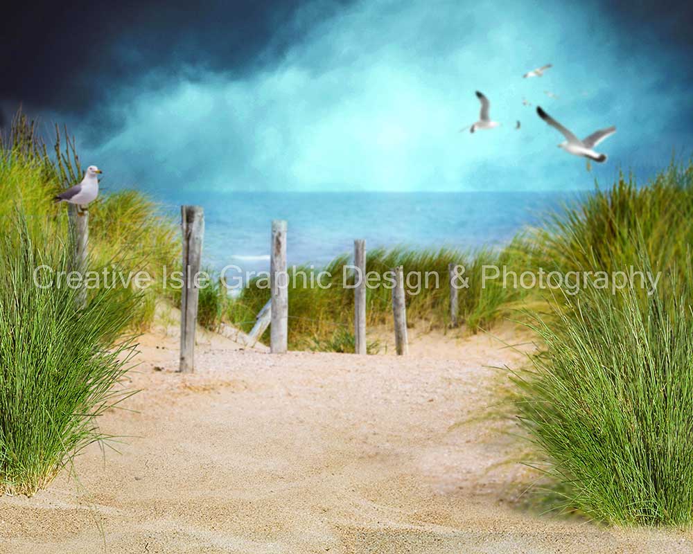 Kate Beach Path Backdrop Pigeon Green grass Designed by Chrissie Green