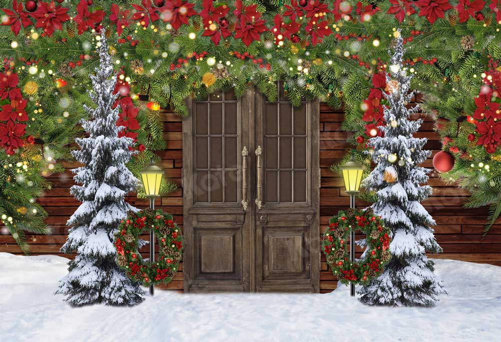 Kate Christmas Snow Barn Door Winter Backdrop for Photography