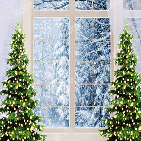 Kate Christmas Window Backdrop Winter Snow Scene for Photography