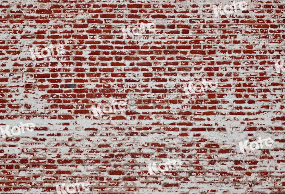 Kate Dilapidated Brick Wall Backdrop Designed by Chain Photography