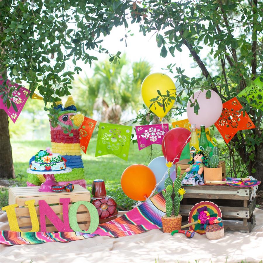 Kate First Birthday Backdrop Camp Picnic Designed by Tyna Renner