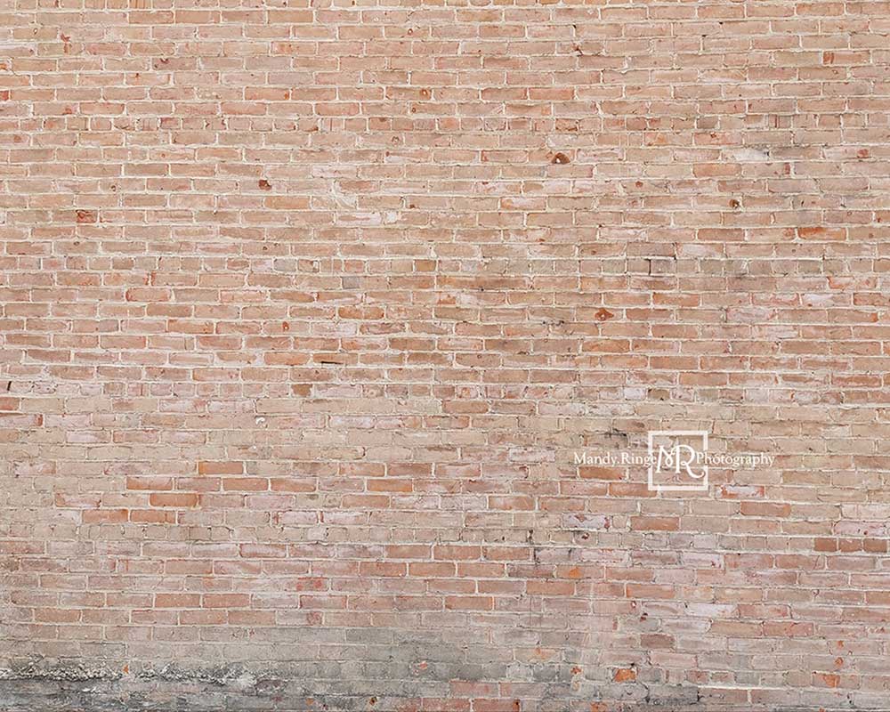 Kate Light Faded Bricks Backdrop Designed by Mandy Ringe Photography