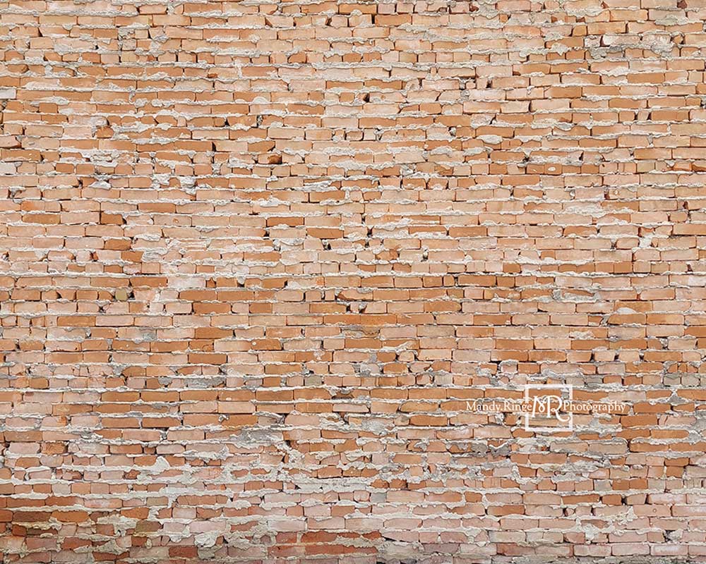 Kate Light Uneven Bricks Backdrop Designed by Mandy Ringe Photography