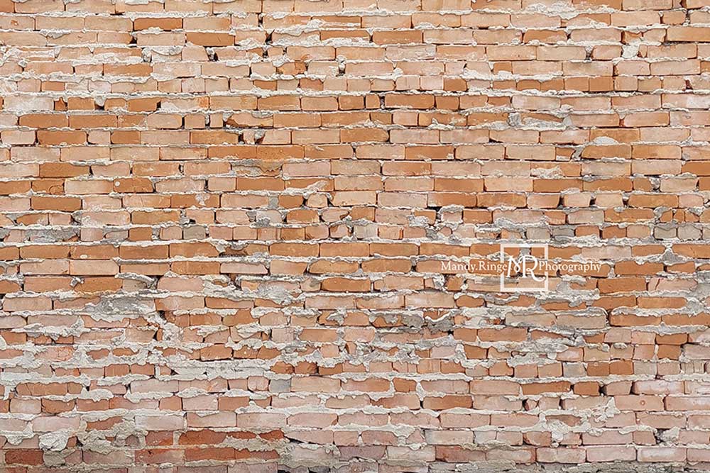 Kate Light Uneven Bricks Backdrop Designed by Mandy Ringe Photography
