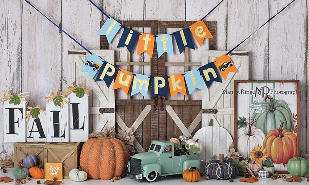 Kate Little Pumpkin Birthday Backdrop Designed by Mandy Ringe Photography