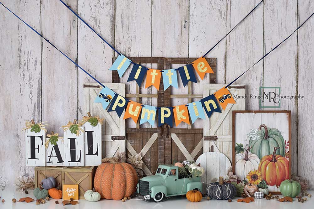 Kate Little Pumpkin Birthday Backdrop Designed by Mandy Ringe Photography - Kate Backdrop