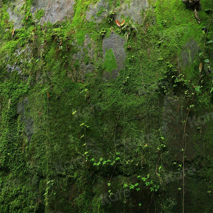 Lush Green Mossy Wall Nature Backdrop