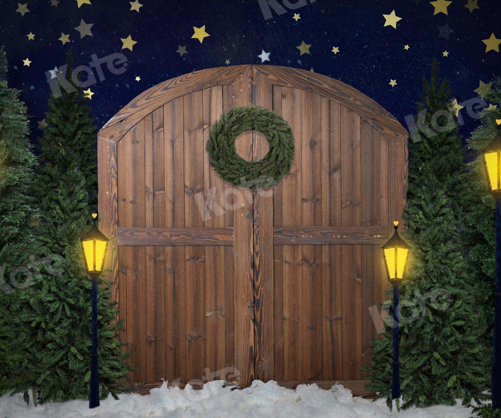 Kate Street Lights Christmas Backdrop Barn Door Designed by Emetselch