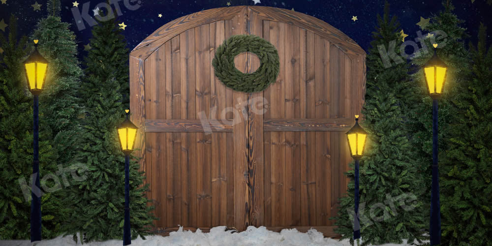 Kate Street Lights Christmas Backdrop Barn Door Designed by Emetselch