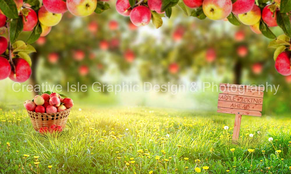 Kate Summer Apple Orchard Backdrop Grassland Designed by Chrissie Green